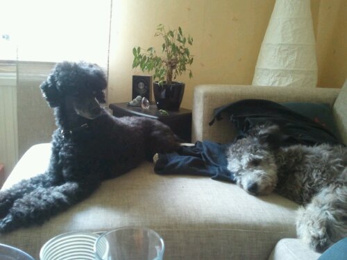 2012-05-30 11.26.04.jpg image