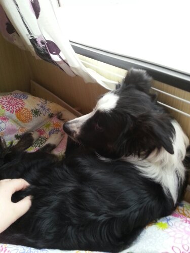 20130330_063622.jpg image