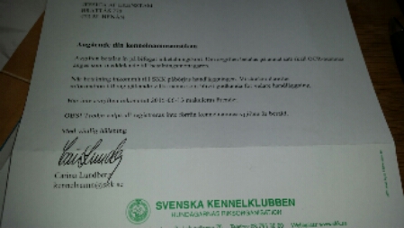 20150420_165504.jpg image