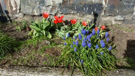 20150420_165629.jpg image