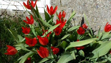 20150420_165649.jpg image