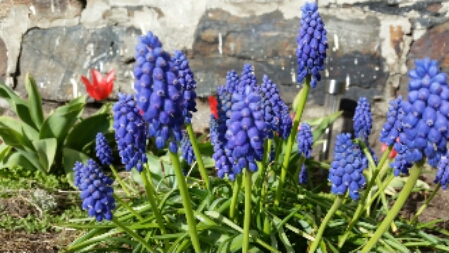 20150420_165715.jpg image