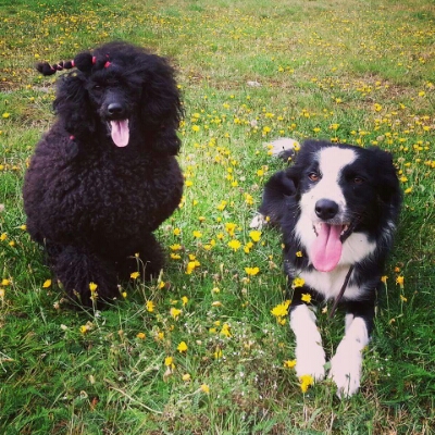 FB_IMG_1428337029230.jpg image