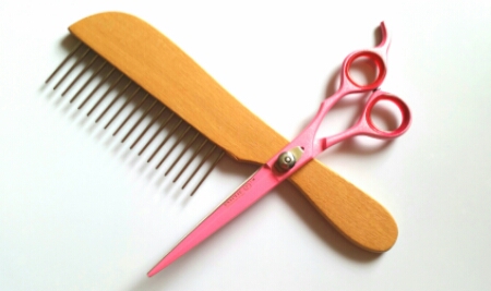 2015-08-14 13.40.16.jpg Pumi Pälsvård-pumi pumivalp borste kam pudelkam