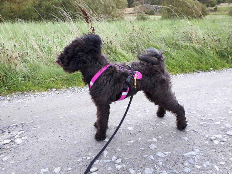 Maktez Ehxtaz "Jilla"