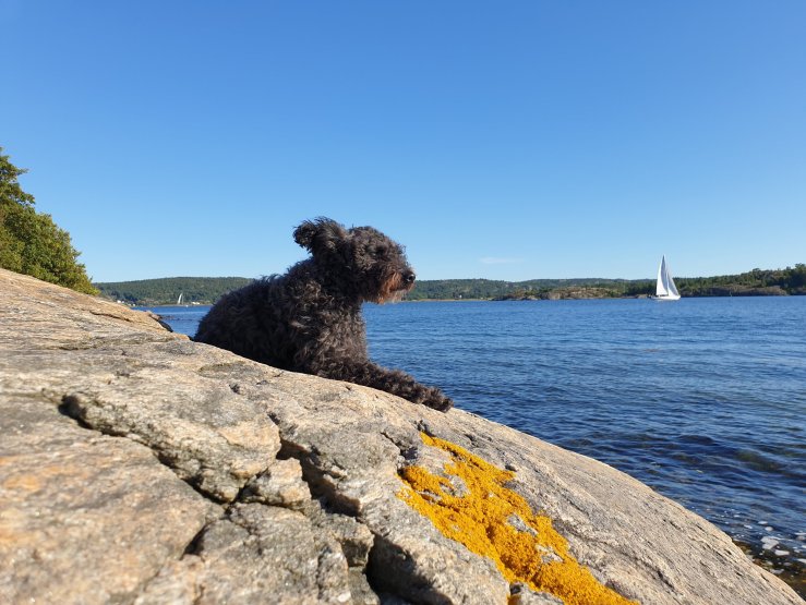 Maktez Ehxtaz "Jilla"