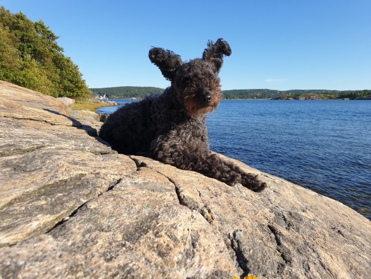 Maktez Ehxtaz "Jilla"