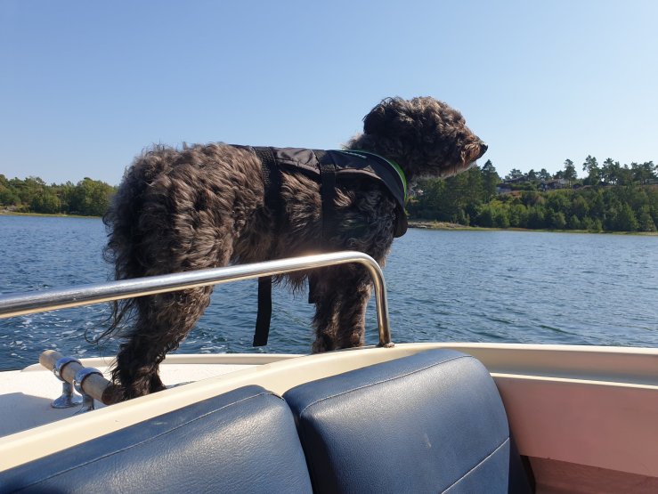 Maktez Ehxtaz "Jilla"